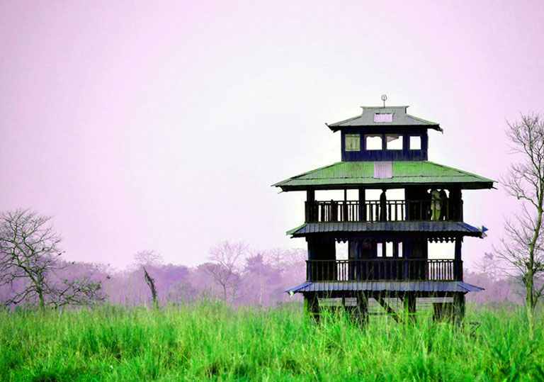 Dooars Tour — 6N / 7D (Jaldapara • Jayanti • Gorumara)