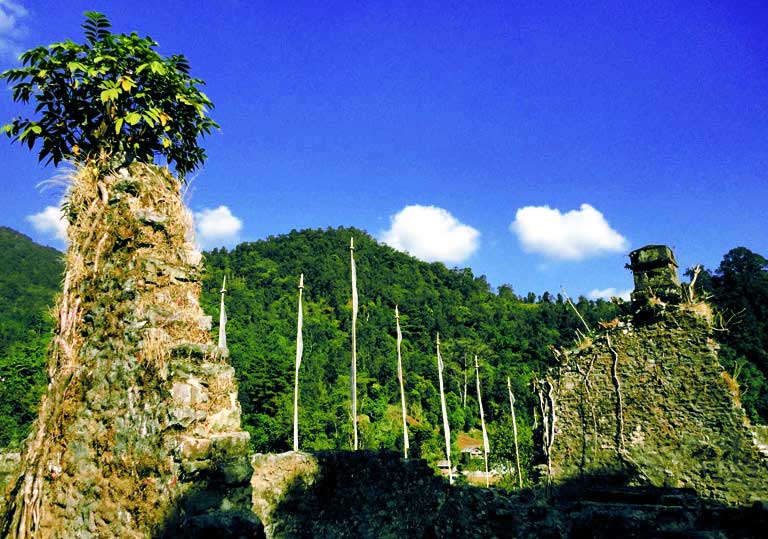 Buxa