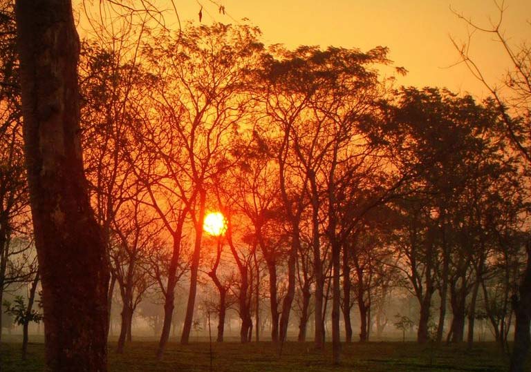 Kalipur