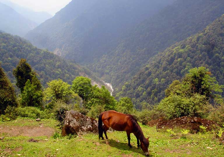 Odlabari