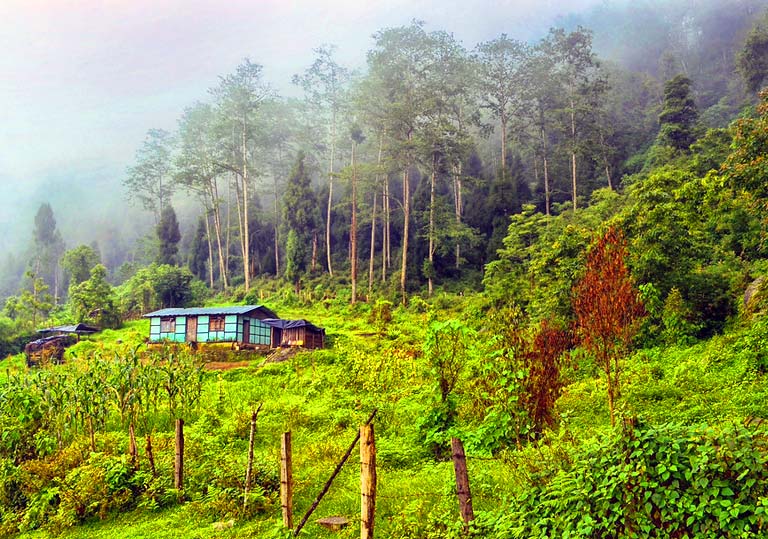 Sillery Gaon