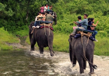 Dooars Jaldapara Gorumara Trip for 3 days