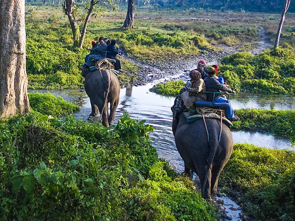 Chilapata Safari