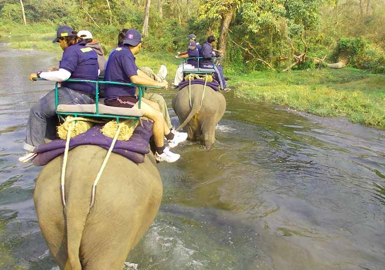Elephant Safari at Chilapata