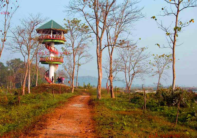 Medla Watch Tower