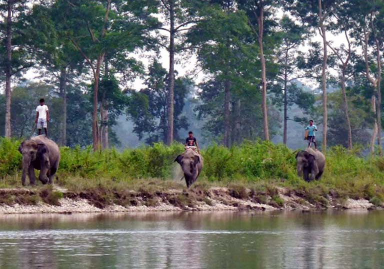 jhalong tourist spot